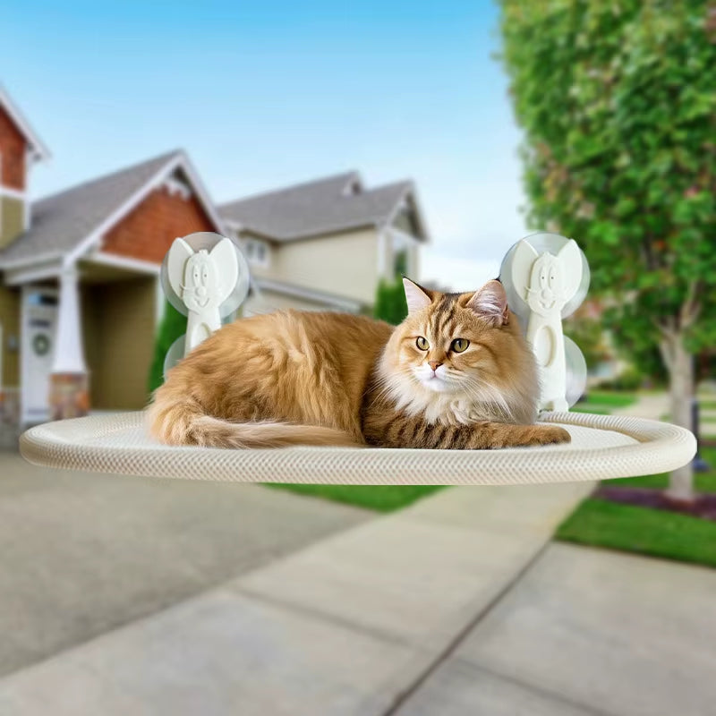 Wall-Mounted Cat Hammock